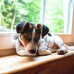 Dom Ukryty Przed Swiatem - Szeroki Bor Casa de Férias *