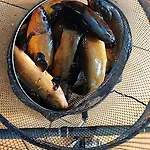 Dom Ukryty Przed Swiatem - Szeroki Bor Casa de Férias *