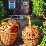 Dom Ukryty Przed Swiatem - Szeroki Bor Ruciane-Nida