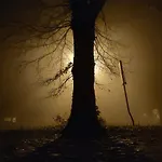 Dom Ukryty Przed Swiatem - Szeroki Bor Casa de Férias *