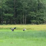 Dom Ukryty Przed Swiatem - Szeroki Bor Casa de Férias Ruciane-Nida