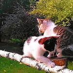 Dom Ukryty Przed Swiatem - Szeroki Bor