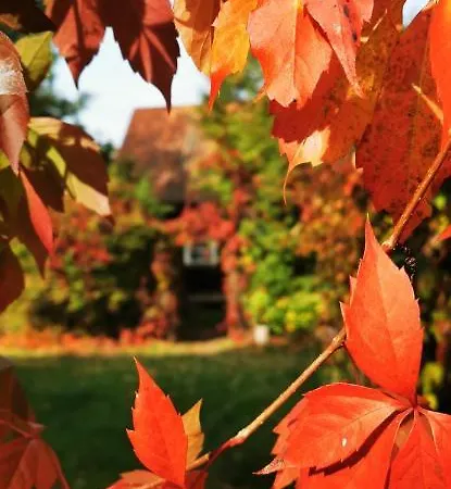 Ferienhaus Dom Ukryty Przed Swiatem - Szeroki Bor Ruciane-Nida