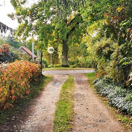 Dom Ukryty Przed Swiatem - Szeroki Bor *