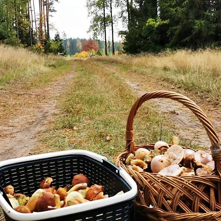 Dom Ukryty Przed Swiatem - Szeroki Bor Ferienhaus *