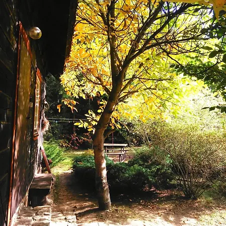 Dom Ukryty Przed Swiatem - Szeroki Bor Hébergement de vacances *