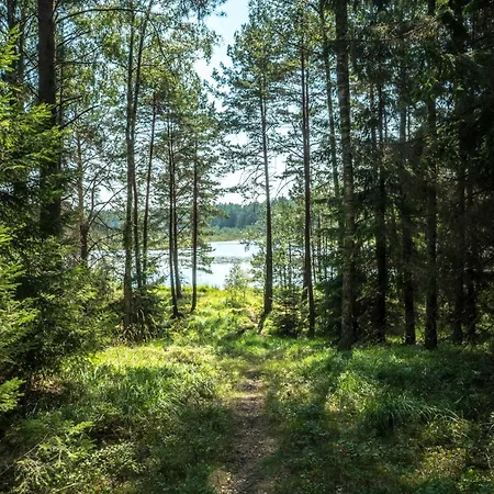 Nyaraló Dom Ukryty Przed Swiatem - Szeroki Bor