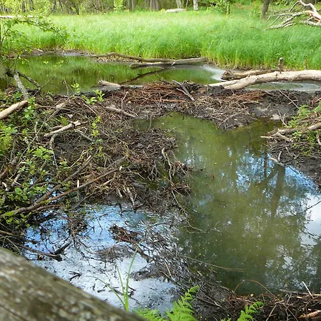 Dom Ukryty Przed Swiatem - Szeroki Bor Hébergement de vacances *