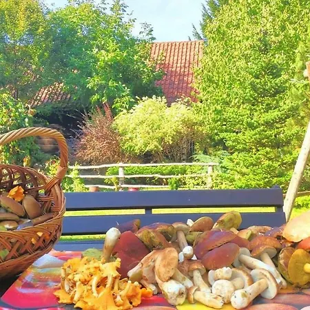 Ferienhaus Dom Ukryty Przed Swiatem - Szeroki Bor *