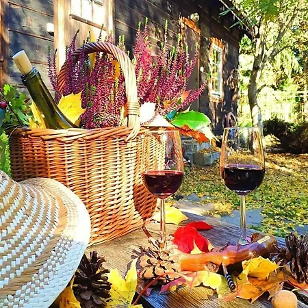 Dom Ukryty Przed Swiatem - Szeroki Bor *