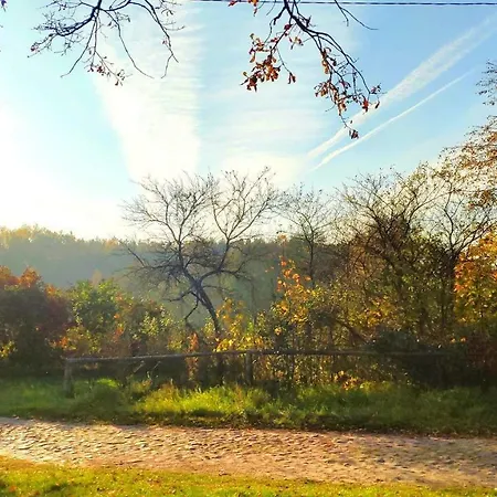 Dom Ukryty Przed Swiatem - Szeroki Bor