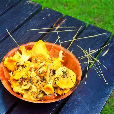 Dom Ukryty Przed Swiatem - Szeroki Bor *