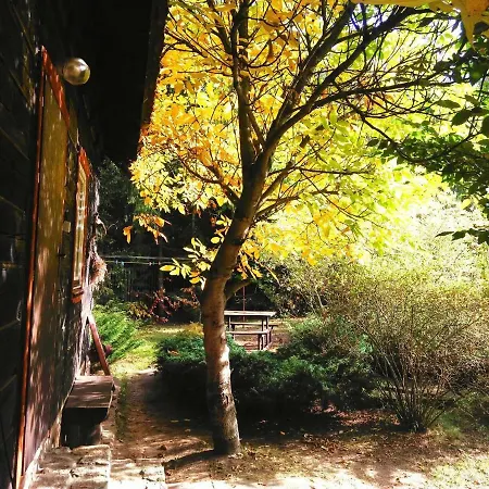 Dom Ukryty Przed Swiatem - Szeroki Bor *