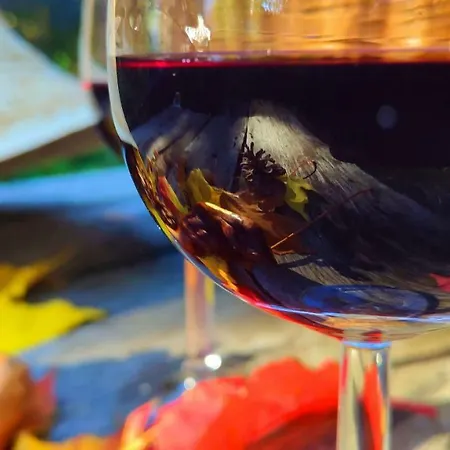 Dom Ukryty Przed Swiatem - Szeroki Bor *