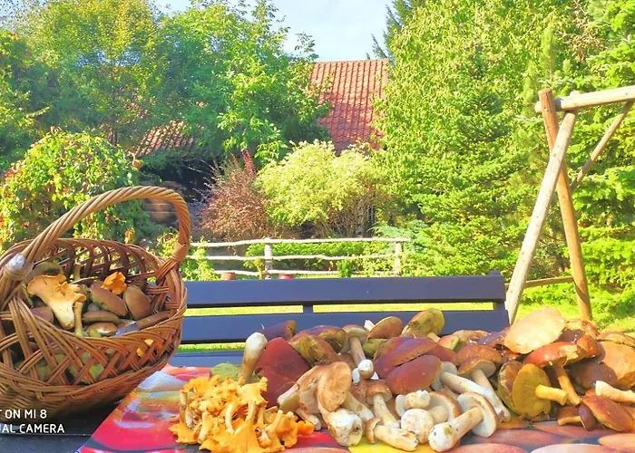 Hébergement de vacances Dom Ukryty Przed Swiatem - Szeroki Bor Ruciane-Nida