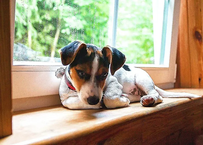 Dom Ukryty Przed Swiatem - Szeroki Bor Hébergement de vacances *