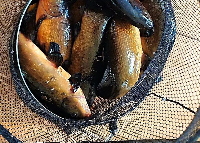 Dom Ukryty Przed Swiatem - Szeroki Bor Hébergement de vacances *