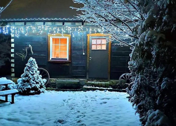 Dom Ukryty Przed Swiatem - Szeroki Bor