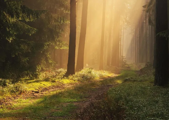 Dom Ukryty Przed Swiatem - Szeroki Bor Hébergement de vacances Ruciane-Nida