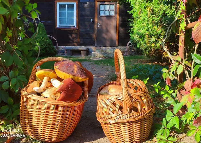 Dom Ukryty Przed Swiatem - Szeroki Bor Ruciane-Nida