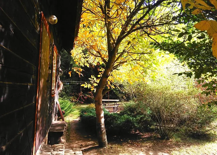 Dom Ukryty Przed Swiatem - Szeroki Bor Hébergement de vacances *