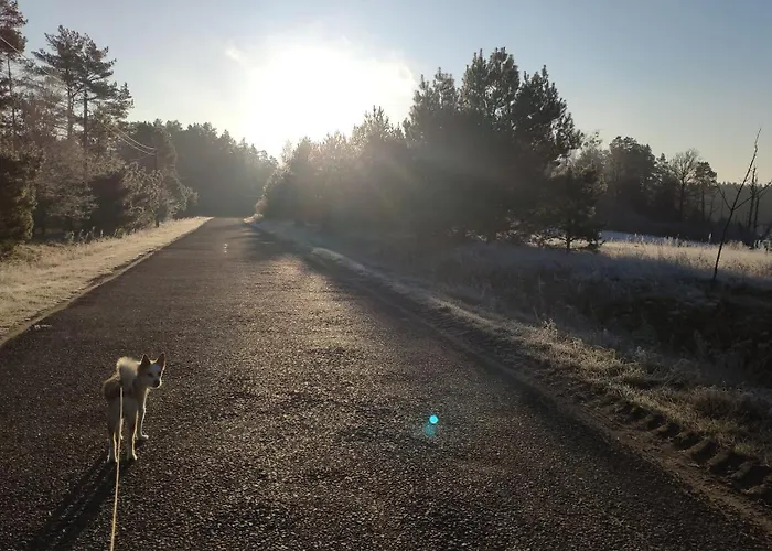 Dom Ukryty Przed Swiatem - Szeroki Bor Hébergement de vacances