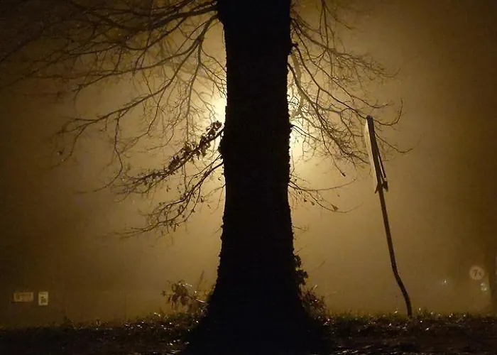 Dom Ukryty Przed Swiatem - Szeroki Bor Hébergement de vacances *