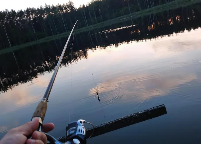 Hébergement de vacances Dom Ukryty Przed Swiatem - Szeroki Bor *