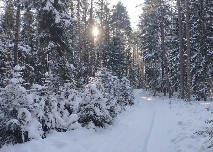 Dom Ukryty Przed Swiatem - Szeroki Bor Hébergement de vacances Ruciane-Nida