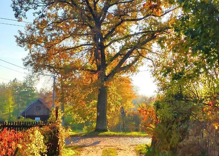 Dom Ukryty Przed Swiatem - Szeroki Bor * Ruciane-Nida