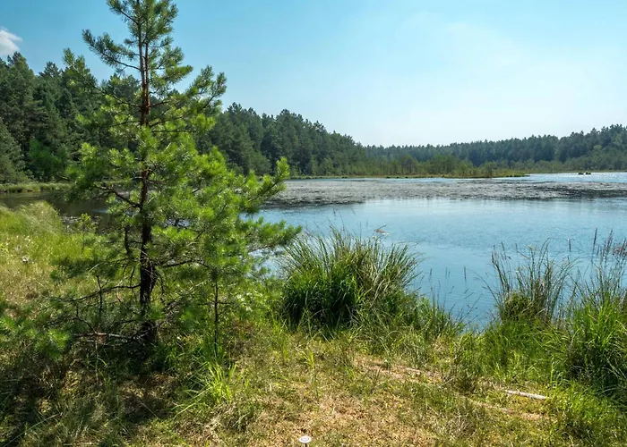 Dom Ukryty Przed Swiatem - Szeroki Bor