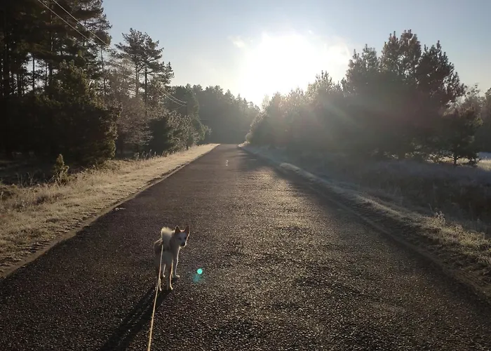 Dom Ukryty Przed Swiatem - Szeroki Bor Hébergement de vacances