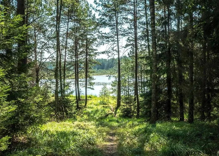 Hébergement de vacances Dom Ukryty Przed Swiatem - Szeroki Bor