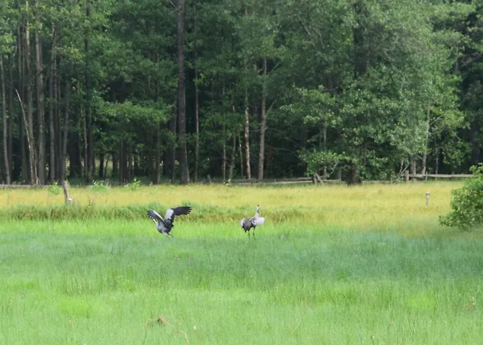 Dom Ukryty Przed Swiatem - Szeroki Bor Hébergement de vacances Ruciane-Nida